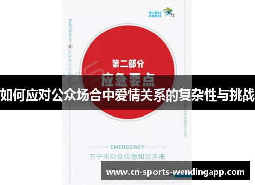 如何应对公众场合中爱情关系的复杂性与挑战