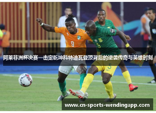 阿莱非洲杯决赛一击定乾坤科特迪瓦登顶背后的逆袭传奇与英雄时刻
